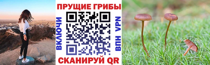Псилоцибиновые грибы прущие грибы  Купить где  Талдом 
